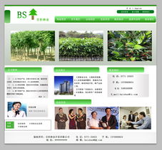 “綠水青山”林業開發網站頁面設計與開發實戰指南