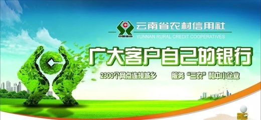 關(guān)于麻栗坡縣農(nóng)村信用合作聯(lián)社原社員股金處置意見(jiàn)的公告